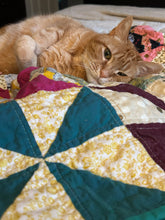 Load image into Gallery viewer, One Orange Braincell BFL DK Yarn