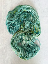Load image into Gallery viewer, Bonny May Rambouillet Worsted Yarn
