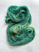 Load image into Gallery viewer, Eau de Nil Pure BFL Yarn