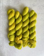 Load image into Gallery viewer, Shag Carpet Pure BFL Yarn