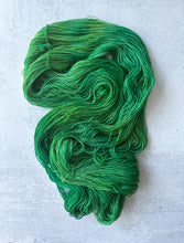 Load image into Gallery viewer, The Perfect Filing System BFL Sock Yarn