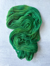 Load image into Gallery viewer, The Perfect Filing System Pure BFL Yarn