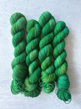 Load image into Gallery viewer, The Perfect Filing System BFL Sock Yarn