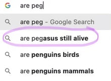 Load image into Gallery viewer, Are Pegasus Still Alive? BFL Sock Yarn