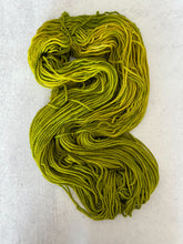 Load image into Gallery viewer, Magical Mystery Tour Rambouillet Worsted Yarn