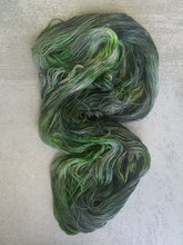 Load image into Gallery viewer, Sea Hag TM BFL Sock Yarn