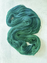 Load image into Gallery viewer, It&#39;s Still the Gulf of Mexico Pure BFL Yarn
