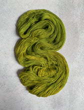 Load image into Gallery viewer, Magical Mystery Tour BFL Worsted Yarn

