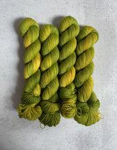 Load image into Gallery viewer, Magical Mystery Tour BFL Worsted Yarn
