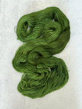 Load image into Gallery viewer, Moonlight Through the Pines Pure BFL Yarn
