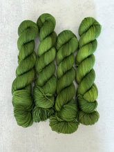 Load image into Gallery viewer, Moonlight Through the Pines BFL Worsted Yarn
