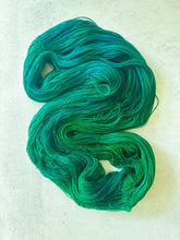 Load image into Gallery viewer, Secret of the Sea Pure BFL Yarn
