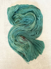 Load image into Gallery viewer, The Prettiest Egg That You Ever Did See BFL Sock Yarn
