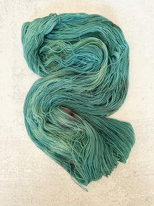 The Prettiest Egg That You Ever Did See BFL Sock Yarn