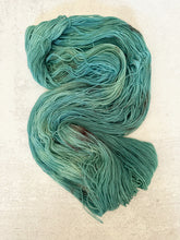 Load image into Gallery viewer, The Prettiest Egg That You Ever Did See BFL DK Yarn
