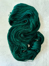 Load image into Gallery viewer, Torn Green Velvet Eyes BFL Worsted Yarn
