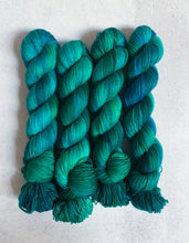 Load image into Gallery viewer, Empress Wendy Pure BFL Yarn
