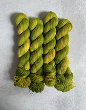 Load image into Gallery viewer, Magical Mystery Tour Pure BFL Yarn

