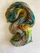 Load image into Gallery viewer, The Shire Rambouillet Worsted Yarn
